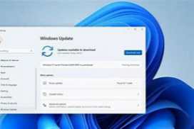Windows 11 Pro 22463.1000 UNTOUCHED for VMware